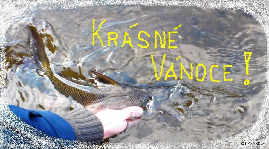 kliknutím fotku zvětšíte
