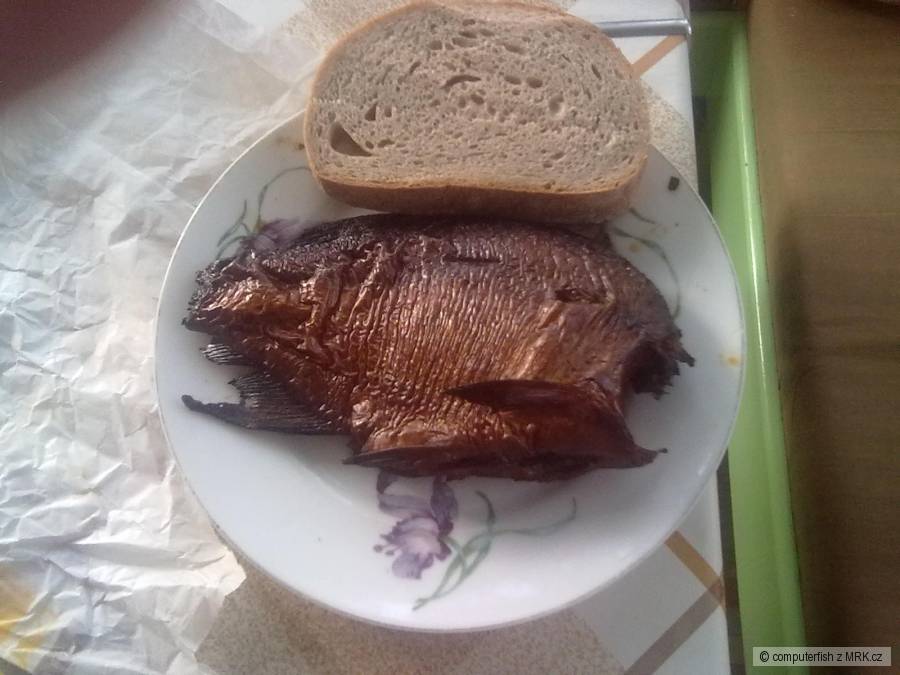 kliknutím fotku zvětšíte