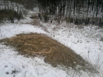 kliknutím fotku zvětšíte