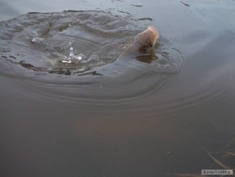 kliknutím fotku zvětšíte