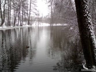 kliknutím fotku zvětšíte