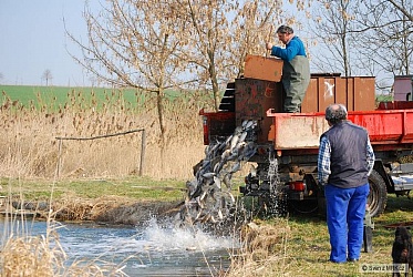 kliknutím fotku zvětšíte