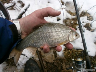 kliknutím fotku zvětšíte