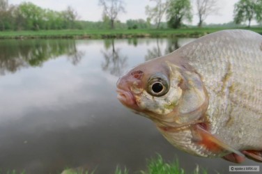 kliknutím fotku zvětšíte