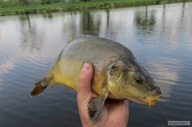 kliknutím fotku zvětšíte