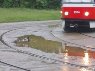 kliknutím fotku zvětšíte