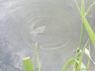 kliknutím fotku zvětšíte