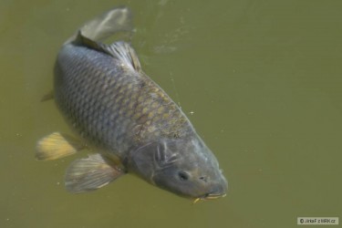 kliknutím fotku zvětšíte