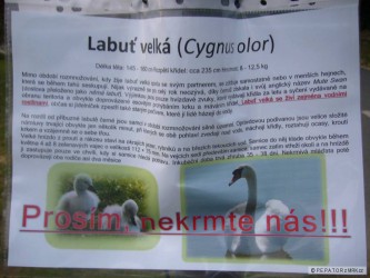 kliknutím fotku zvětšíte