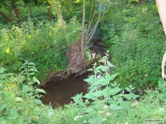 kliknutím fotku zvětšíte