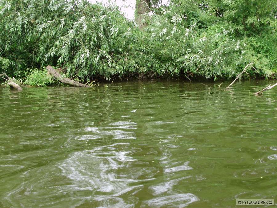 kliknutím fotku zvětšíte
