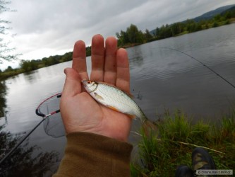 kliknutím fotku zvětšíte