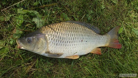 kliknutím fotku zvětšíte