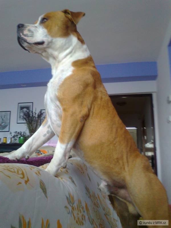 kliknutím fotku zvětšíte