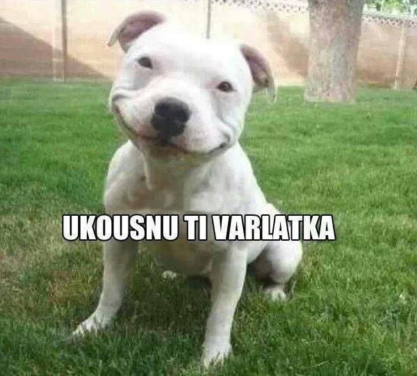 kliknutím fotku zvětšíte