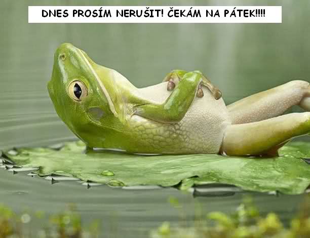 kliknutím fotku zvětšíte