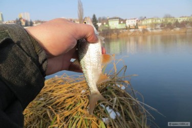 kliknutím fotku zvětšíte