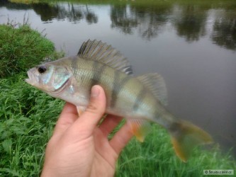 kliknutím fotku zvětšíte