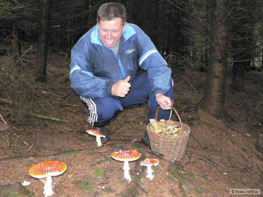 kliknutím fotku zvětšíte