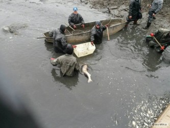 kliknutím fotku zvětšíte