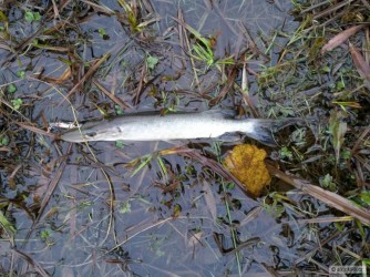 kliknutím fotku zvětšíte