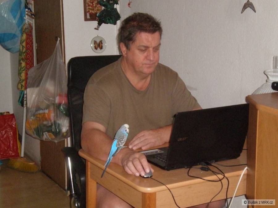 kliknutím fotku zvětšíte