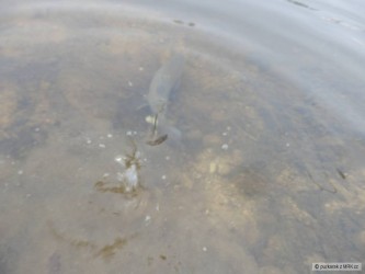 kliknutím fotku zvětšíte