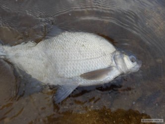 kliknutím fotku zvětšíte