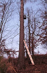 kliknutím fotku zvětšíte