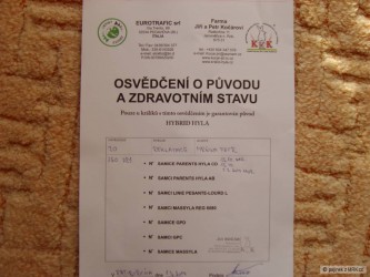kliknutím fotku zvětšíte
