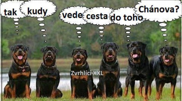 kliknutím fotku zvětšíte