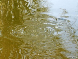 kliknutím fotku zvětšíte