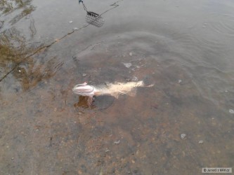 kliknutím fotku zvětšíte