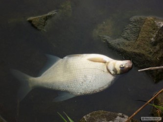 kliknutím fotku zvětšíte