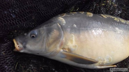 kliknutím fotku zvětšíte