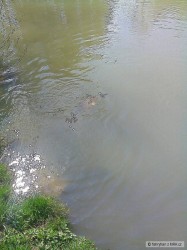 kliknutím fotku zvětšíte