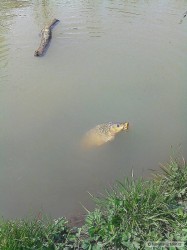 kliknutím fotku zvětšíte
