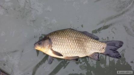 kliknutím fotku zvětšíte