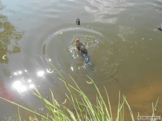 kliknutím fotku zvětšíte