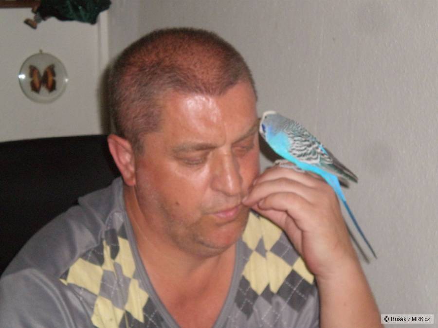 kliknutím fotku zvětšíte