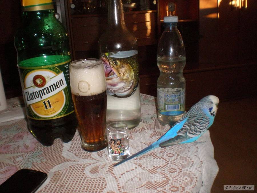 kliknutím fotku zvětšíte
