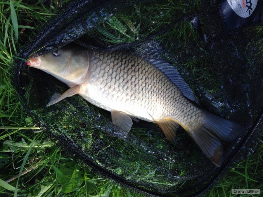 kliknutím fotku zvětšíte