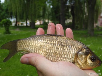 kliknutím fotku zvětšíte