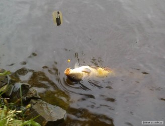 kliknutím fotku zvětšíte