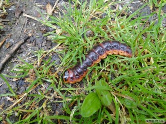 kliknutím fotku zvětšíte