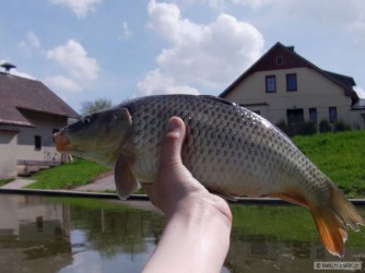 kliknutím fotku zvětšíte