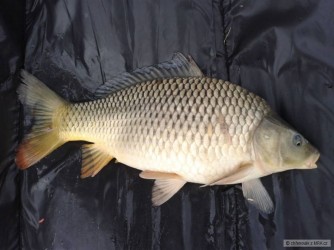 kliknutím fotku zvětšíte