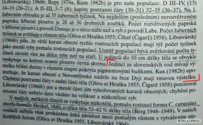 kliknutím fotku zvětšíte