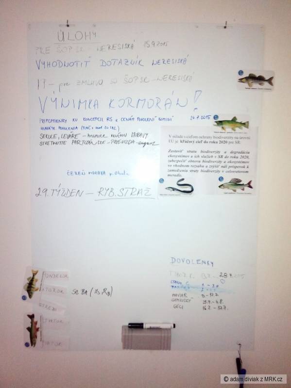 kliknutím fotku zvětšíte