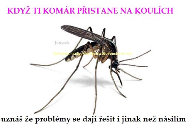 kliknutím fotku zvětšíte